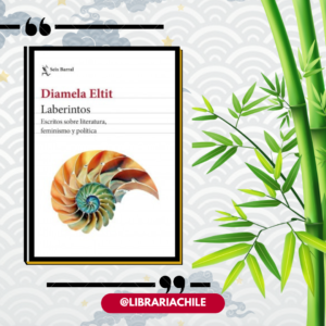 Laberintos: Escritos sobre literatura, feminismo y política
