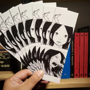 Marcapágina – Solanin, Meiko