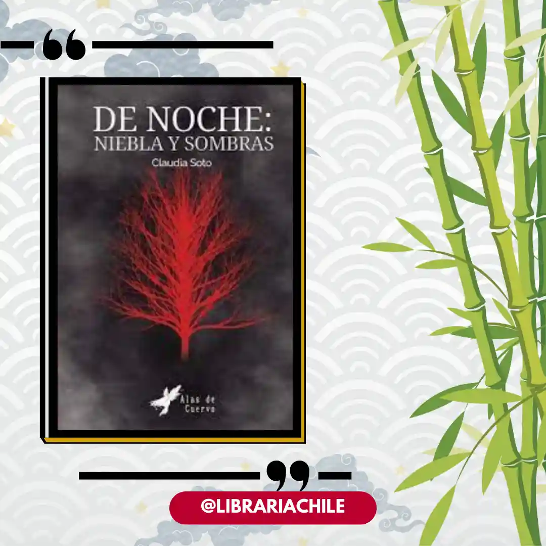 De noche: niebla y sombras