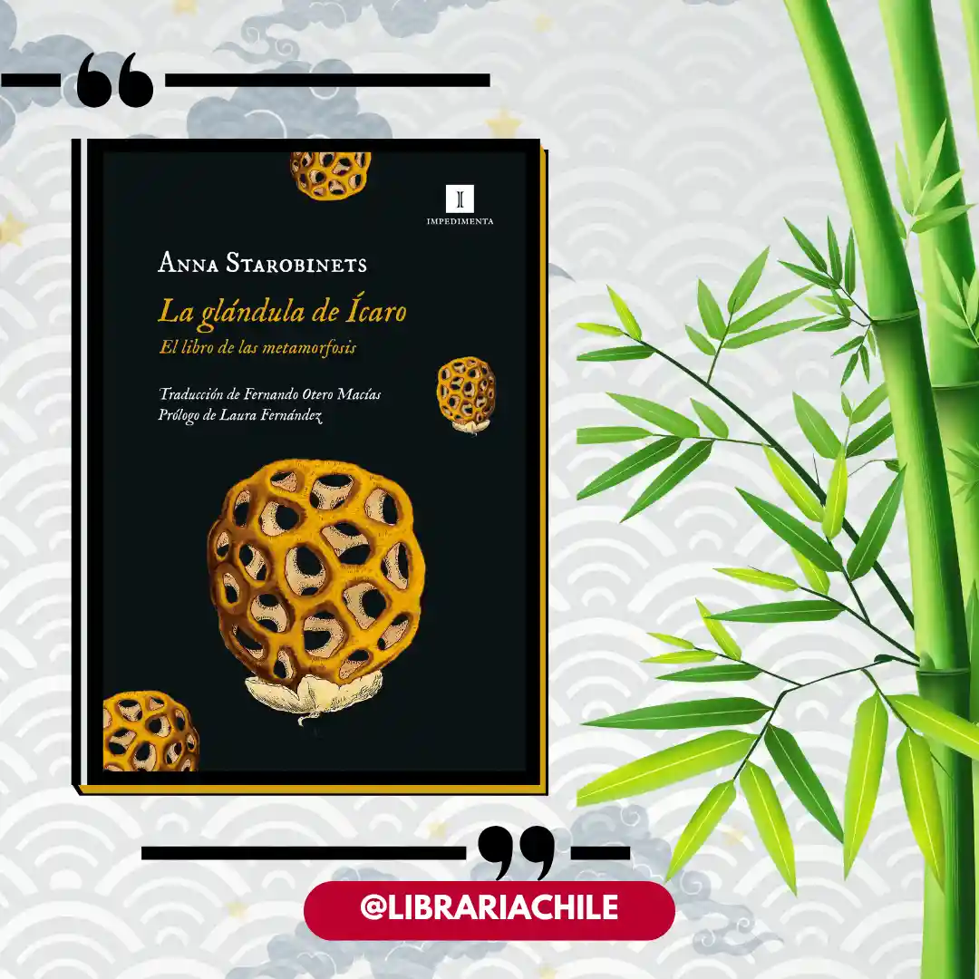 La glándula de Ícaro