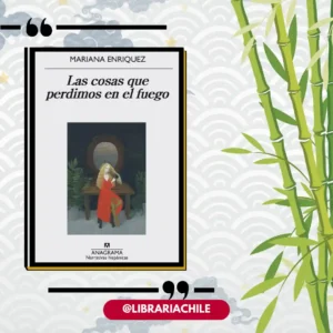 Las cosas que perdimos en el fuego