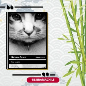 Soy un gato