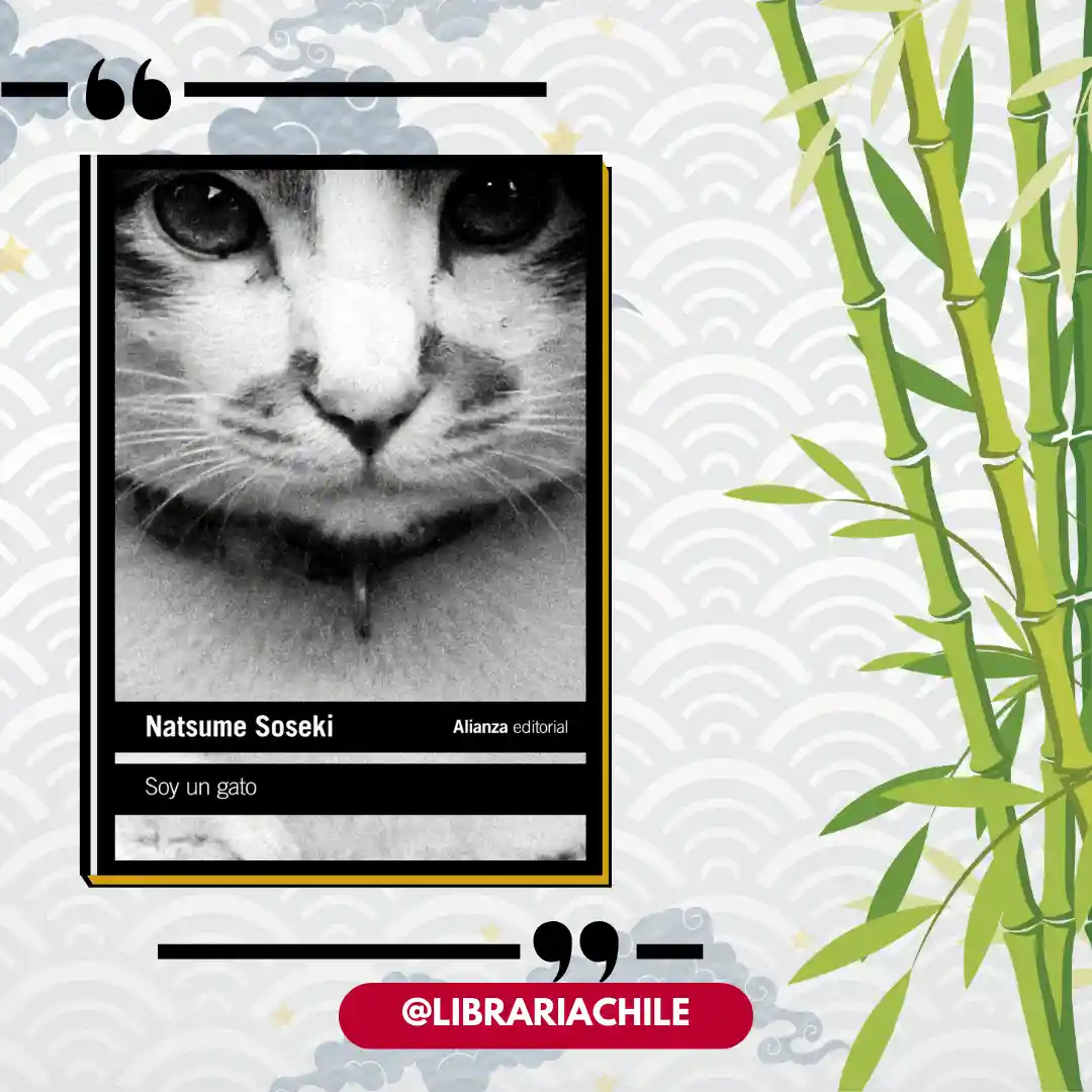 Soy un gato