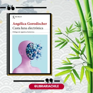 Casta luna electrónica