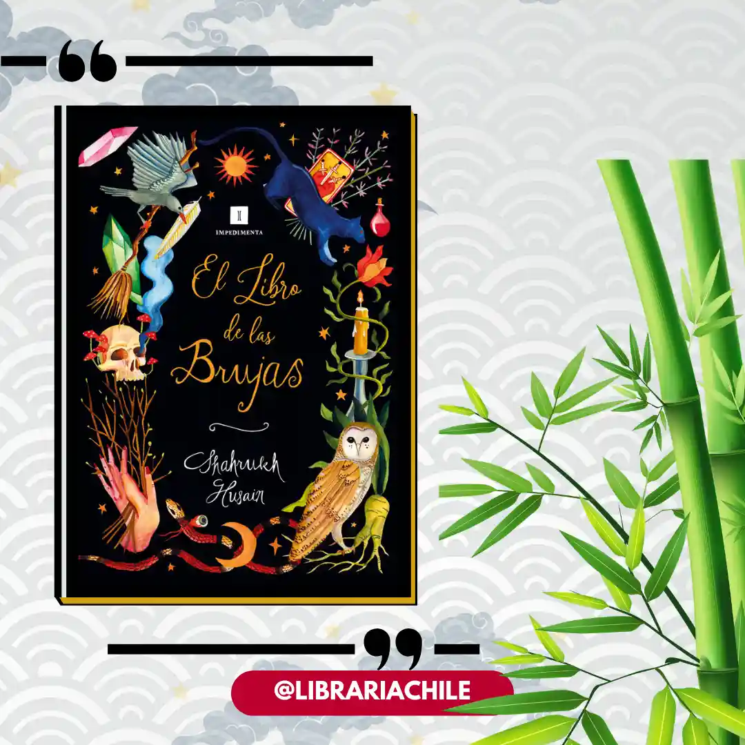 El libro de las brujas